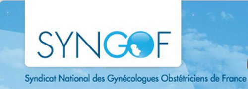 Logo SYNGOF
